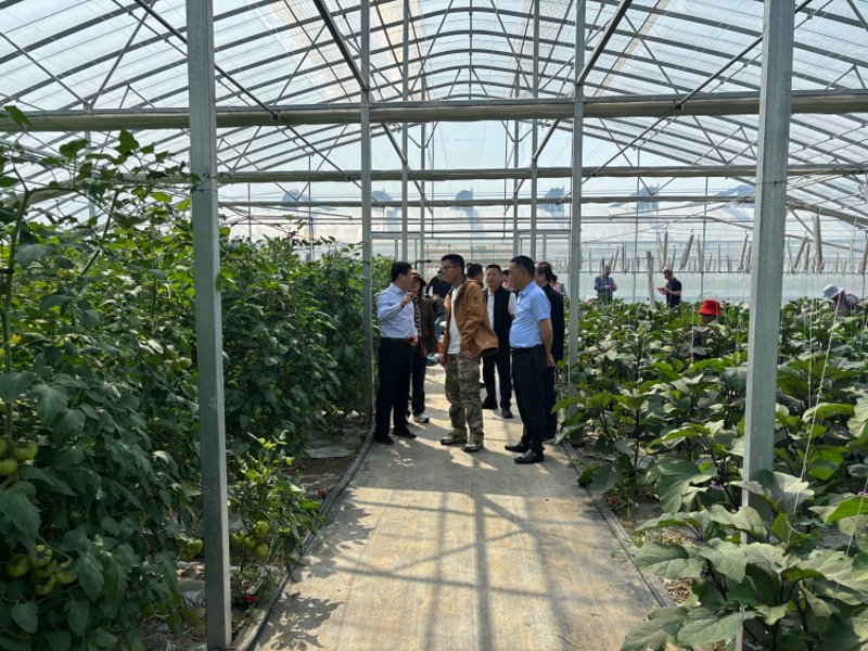 宜兴农业公司的经营模式解析与发展趋势
