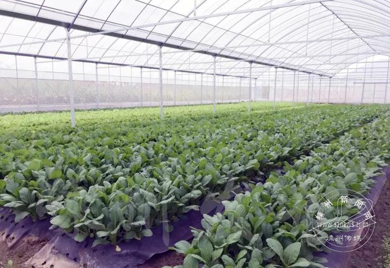 宜兴农产品批发的成本解析
