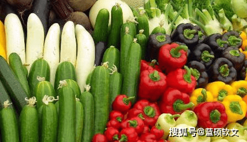 现代农业趋势：蔬菜种植基地引领绿色可持续发展