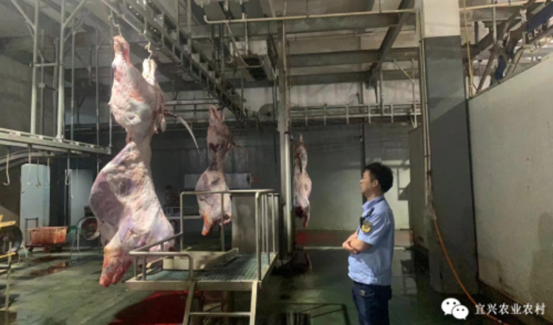 宜兴水果种植常见问答：打造绿色果园的秘诀