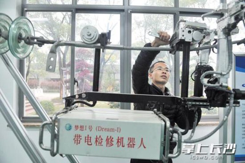 全面解析蔬菜种植基地：哪种模式更具优势？